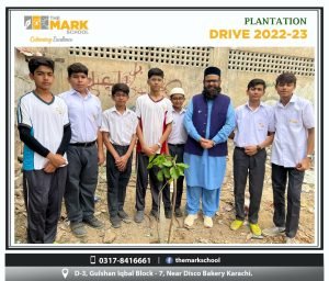 plantation drive